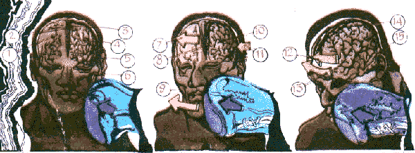 Вот наглядный пример