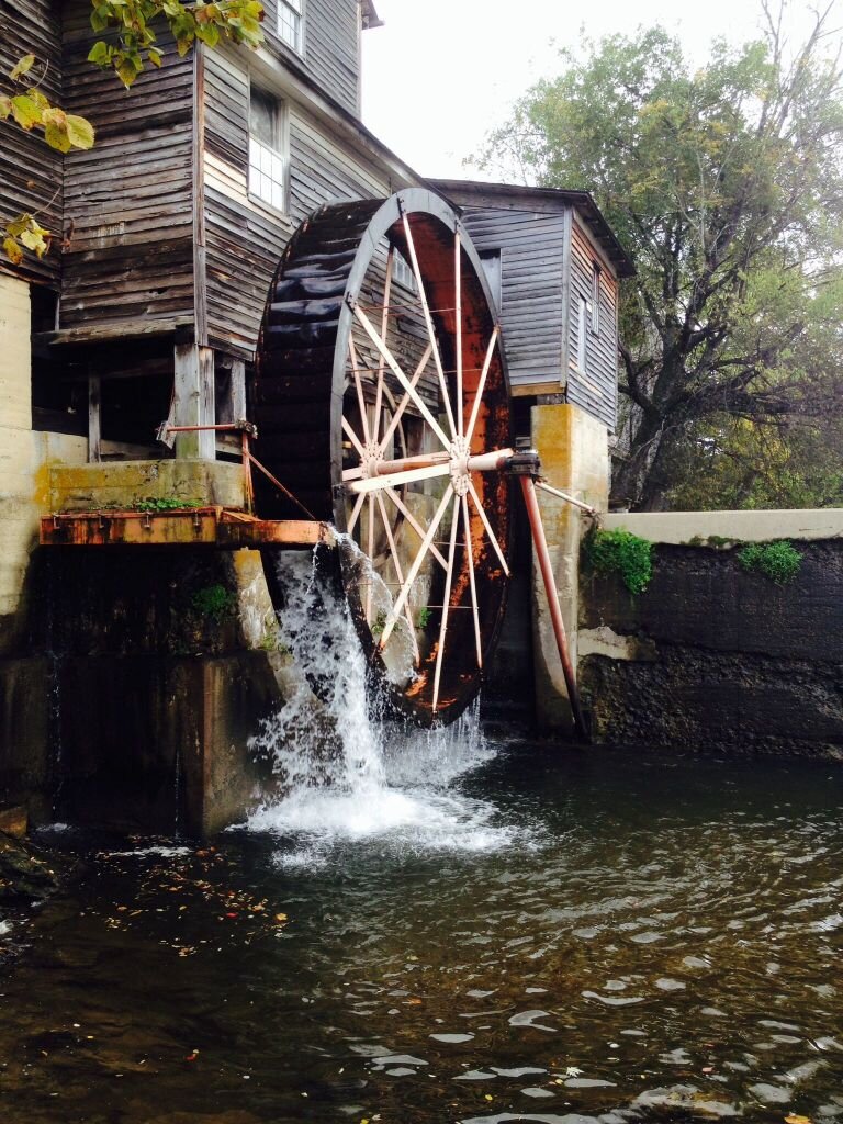 Фото: Яндекс