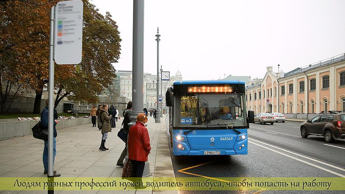 Фото: Арина Зайкова