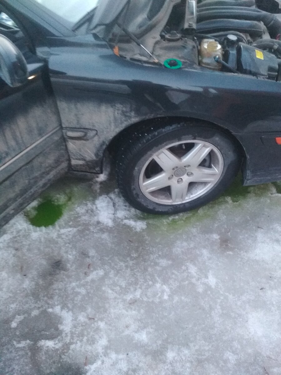 Не охладились, хоть и снег вокруг