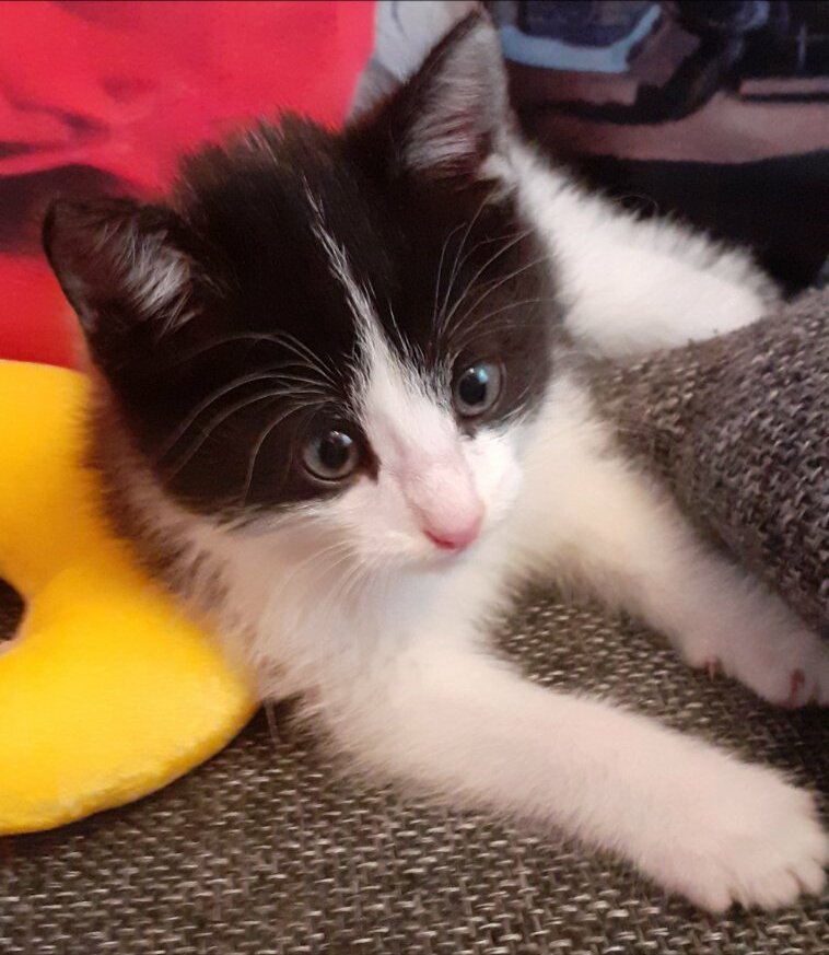 Лежит на след.день после того, как мы его забрали