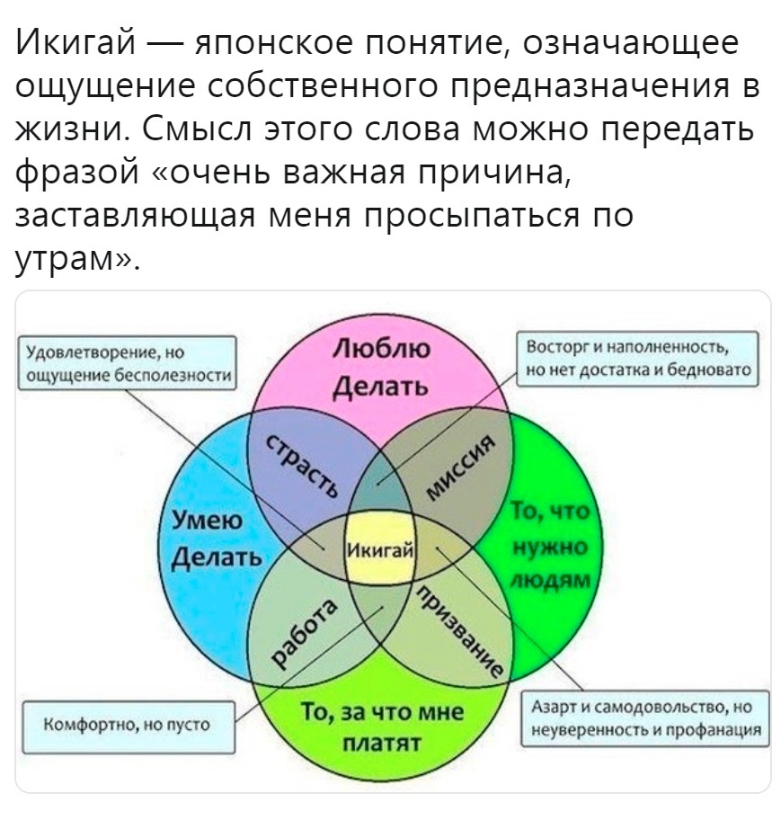 Сколько мне платили на табачках? (Это меньше, чем вы думаете) Горький опыт  работы в двух крупных компаниях | Северные скитания | Дзен