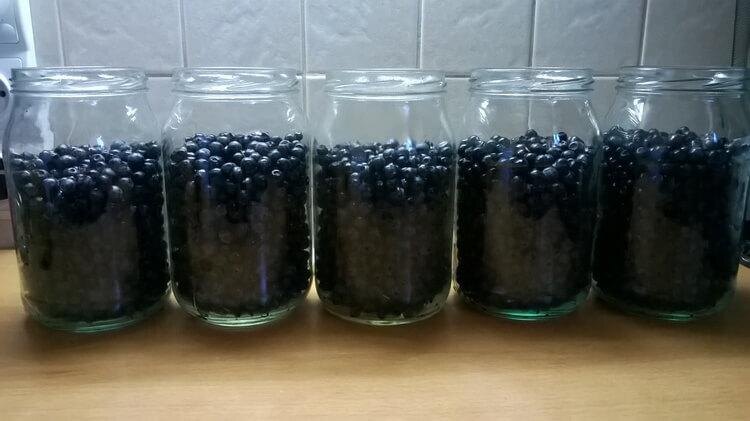 Наливка из терна 