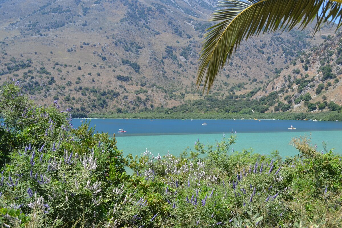 Озеро Курна