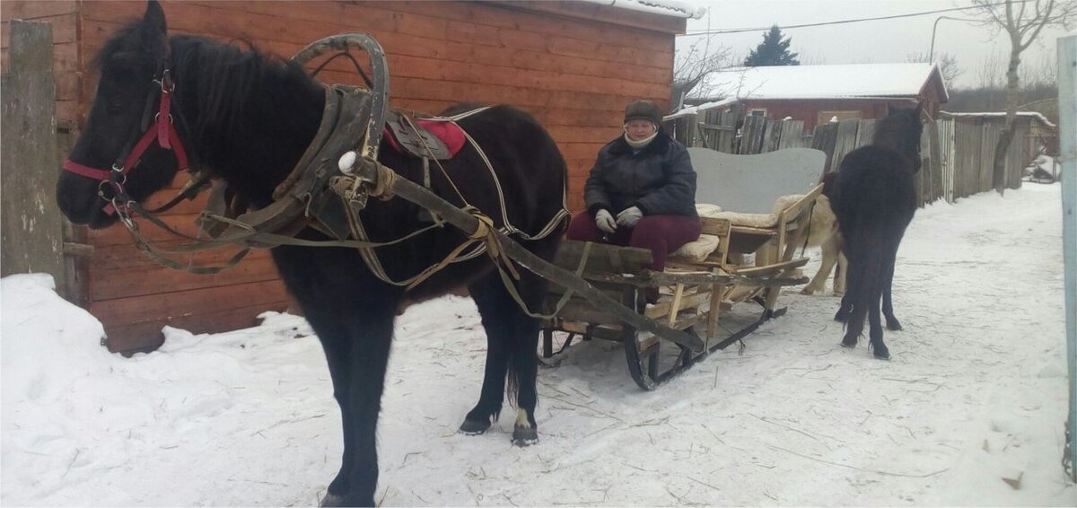 Работа на санях. Фото автора