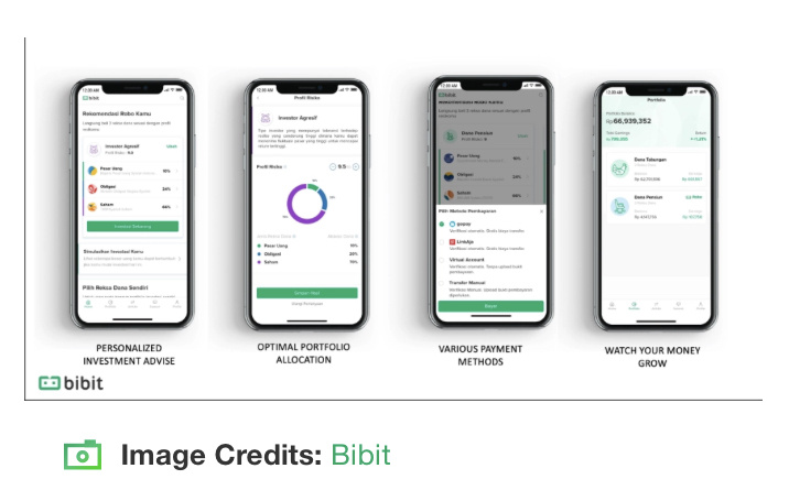 Источник: bibit