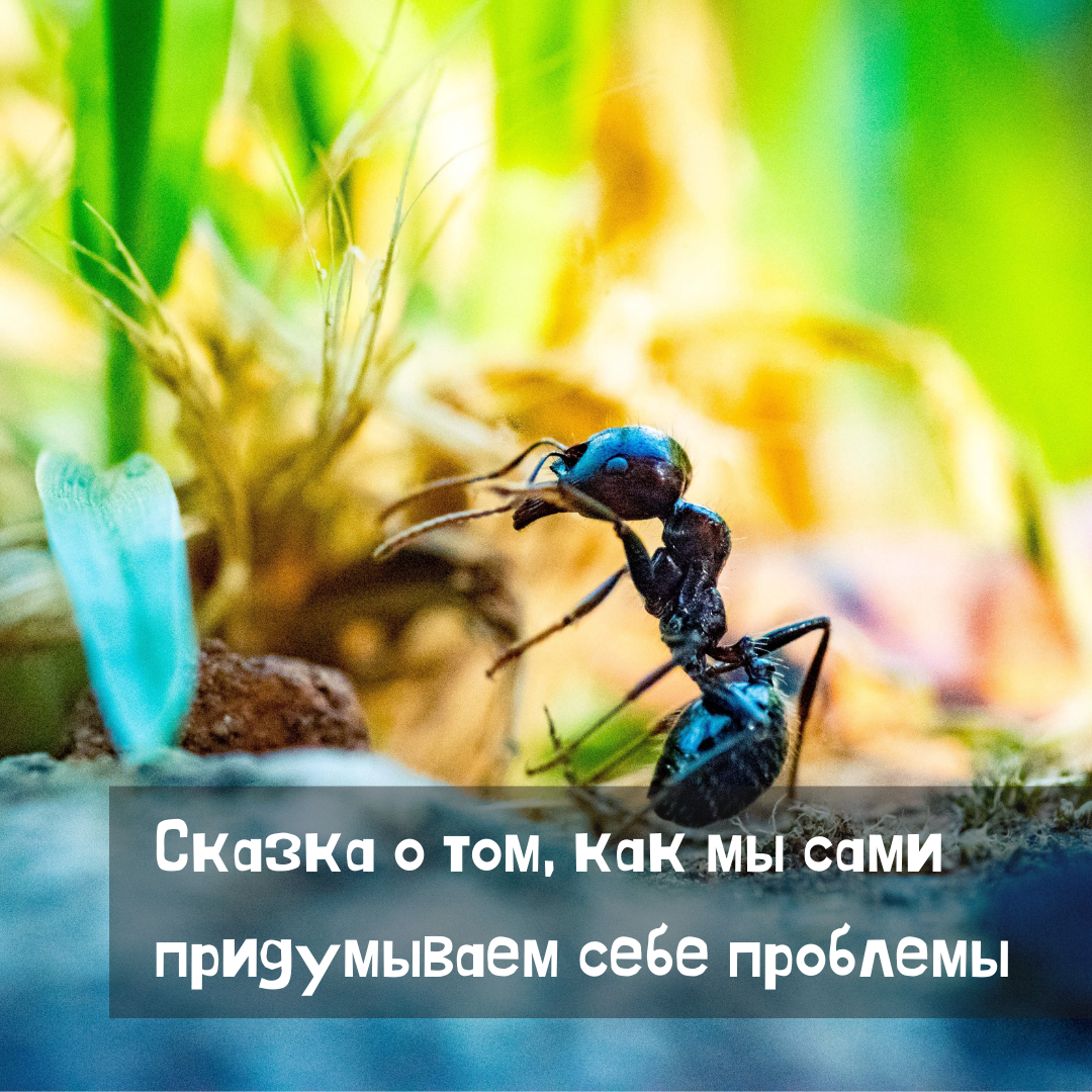 Листайте галерею, сказка там!