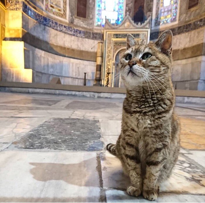 Фото: Собор Святой Софии в Instagram. 