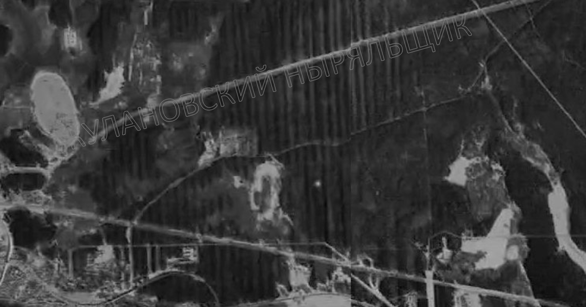 Лесопарк на аэрофотосъемке 1972 года - сплошные лесные массивы, не разрезанные дорогами и магистралями