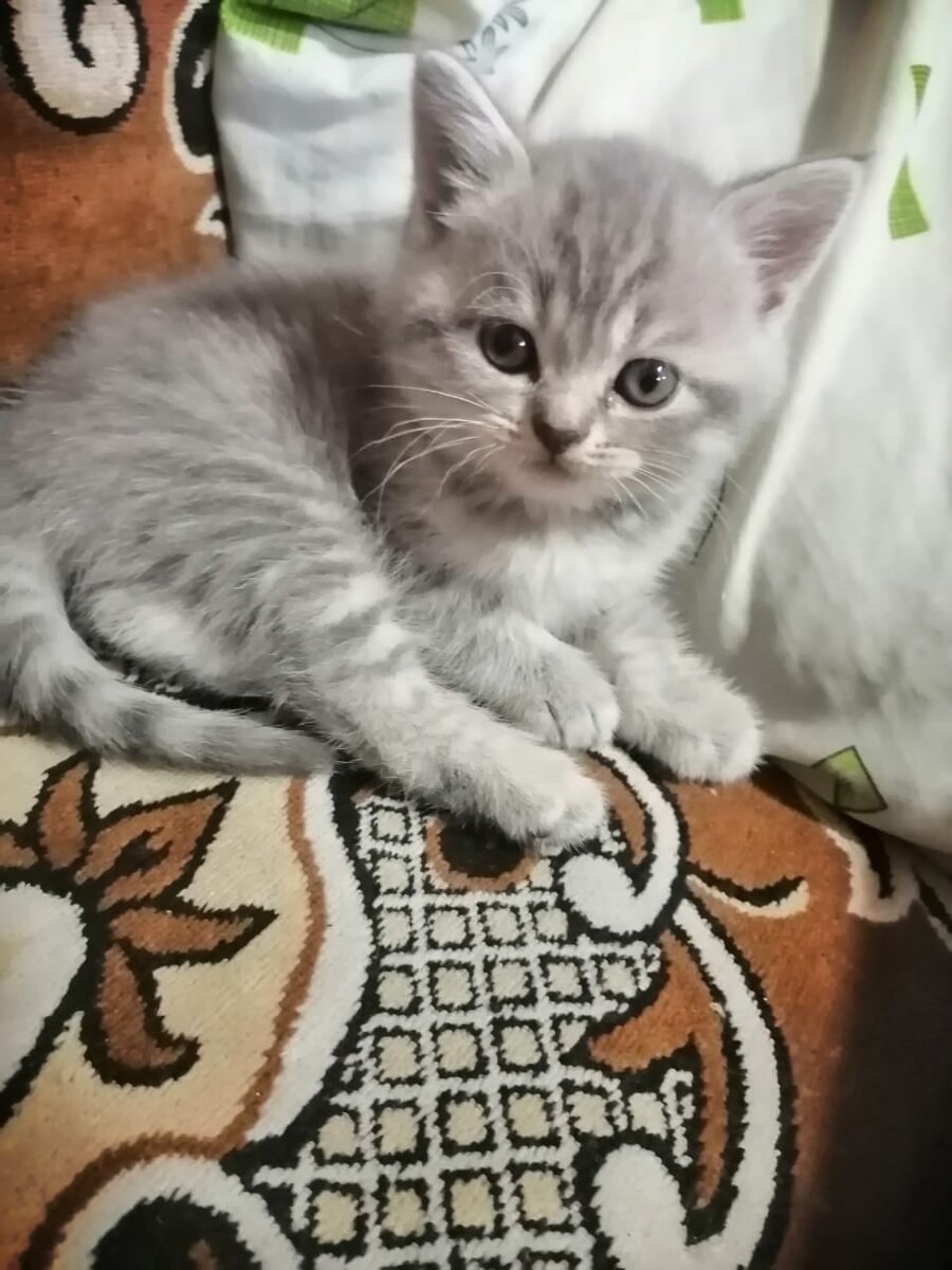 Лучик