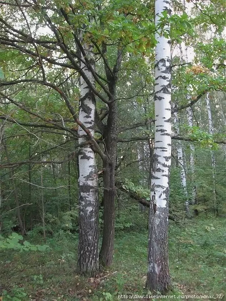                                                                        НЕ УБЕГАЙ,    ТЕБЯ.  ЛЮБИТЬ Я БУДУ...