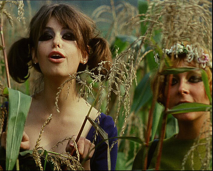 Кадр из фильма