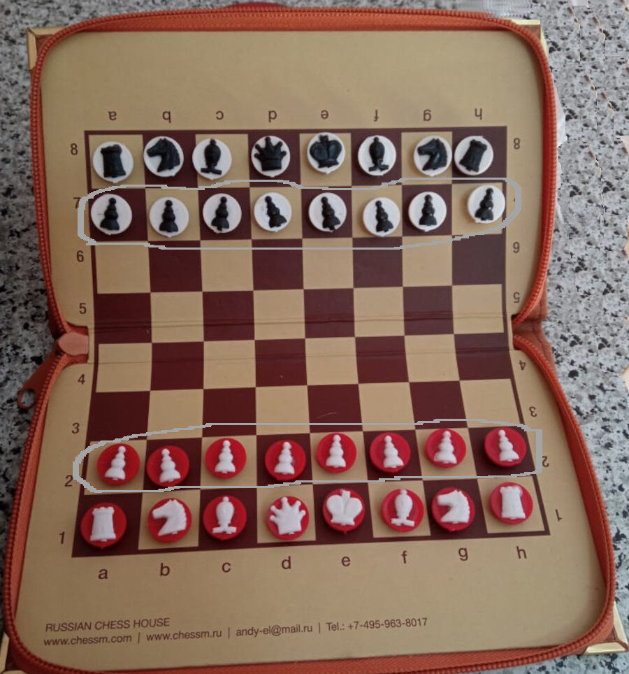 Шахматная доска с фигурами. Фото Михаила Латыпова