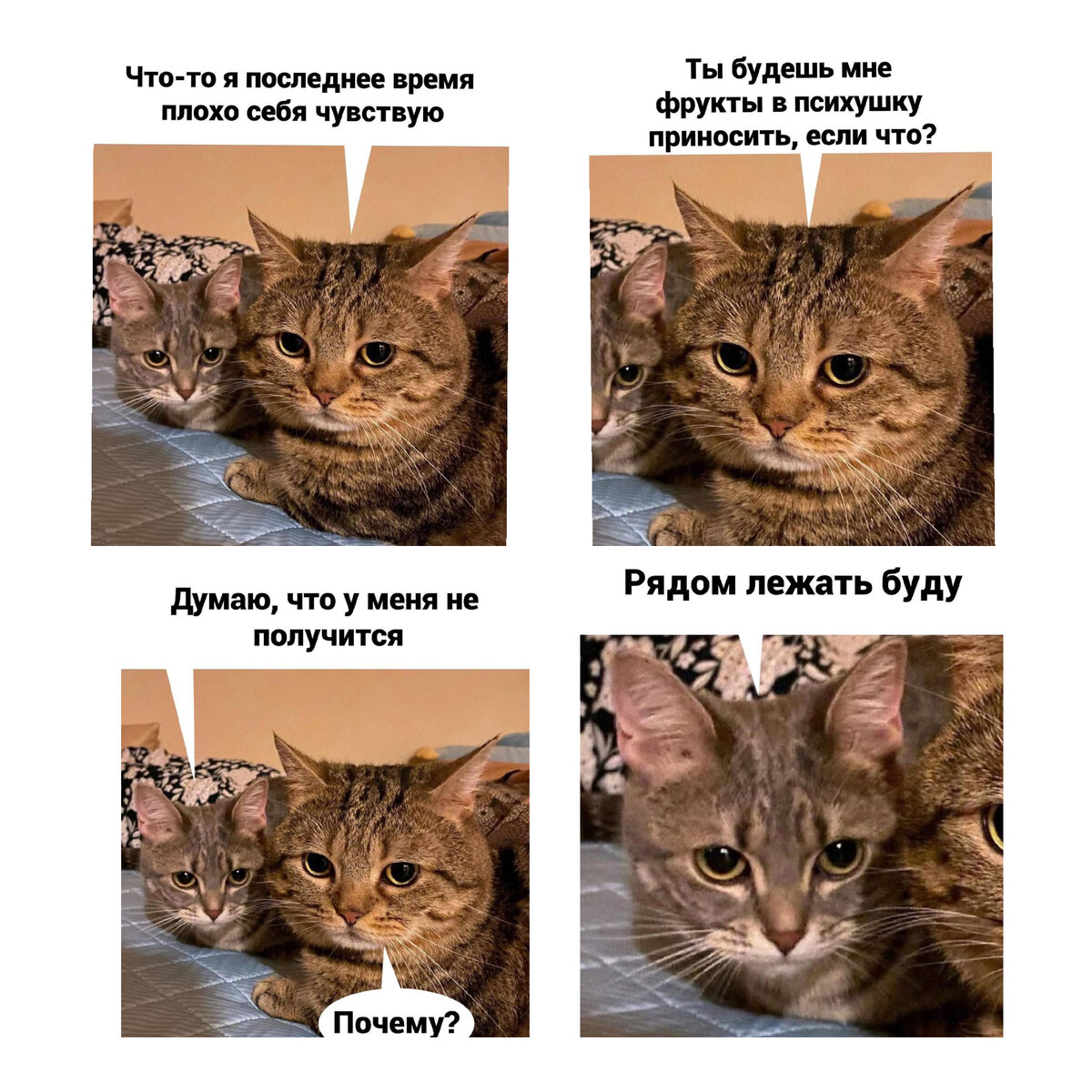 Это любовь. 