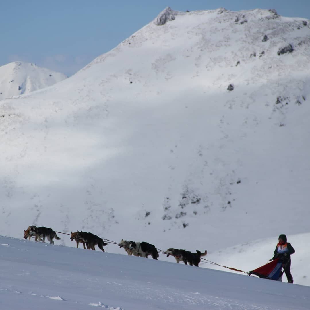 Майя участвует в гонке Камчатке.  Это произошло ПОСЛЕ написания моей повести. 