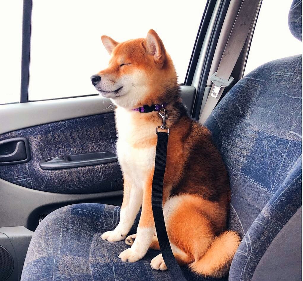 Сидит с закрытыми глазами) 