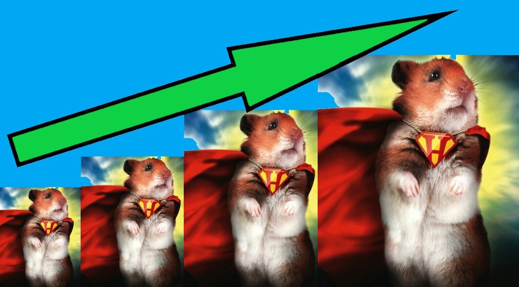 Рост биржевых хомяков