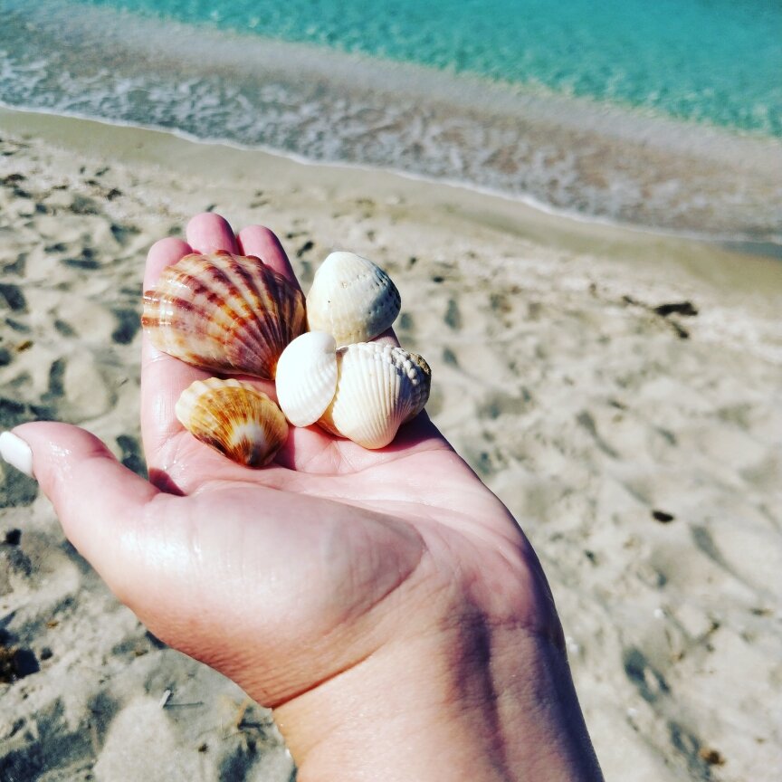 Коса Беляус. Крым.