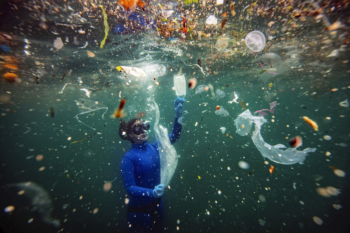 © Новая опасность для подводного мира: отходы COVID-19. Шебнем Кошкун, Турция / Stenincontest