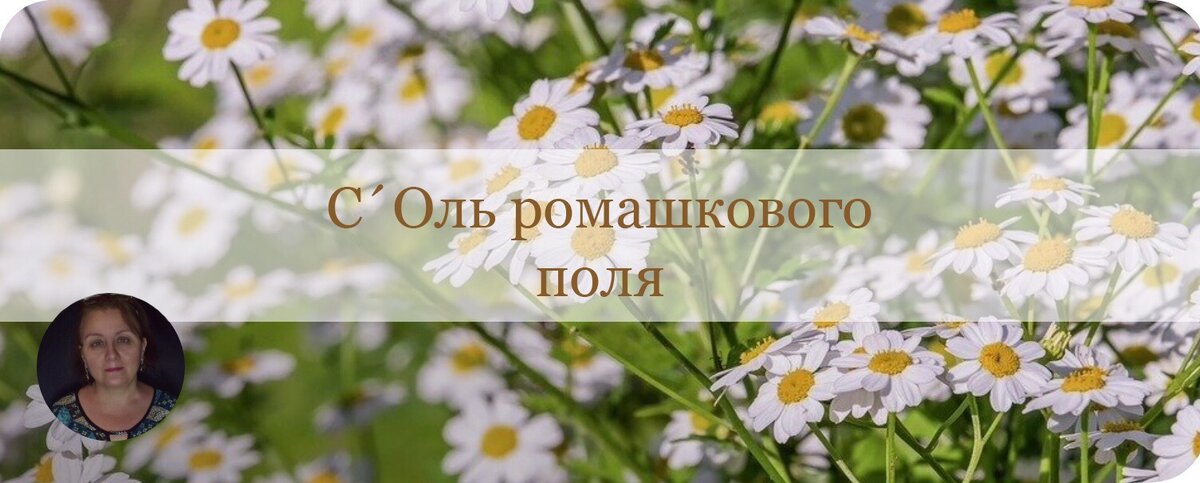 Поговорим о жизни на канале "С´Оль ромашкиного поля"