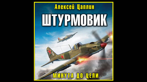 Читать цаплина штурмовик