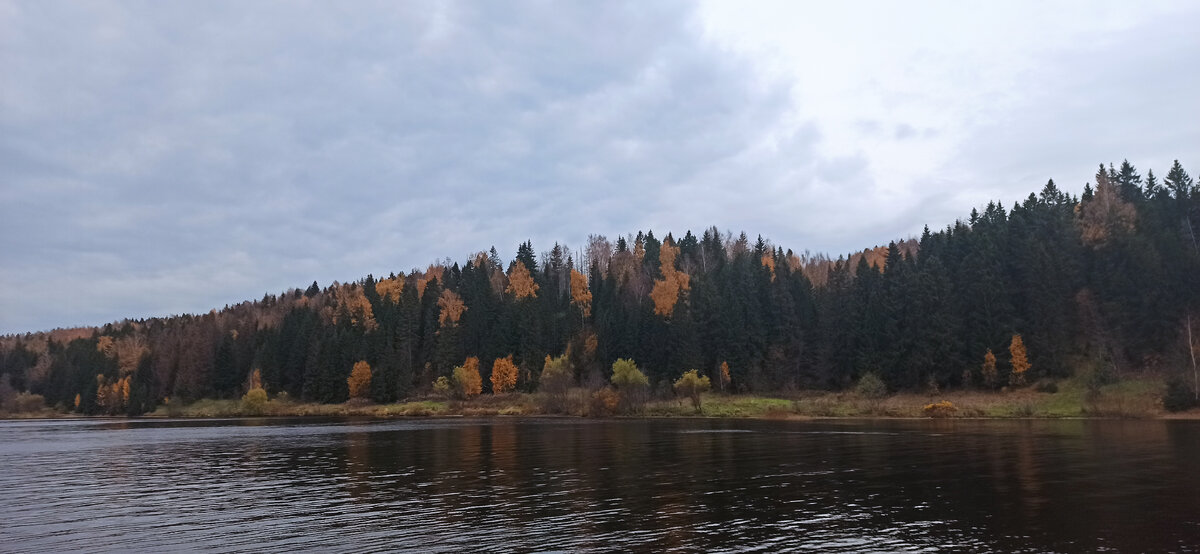 Вот такие красивые виды на осенний лес. 