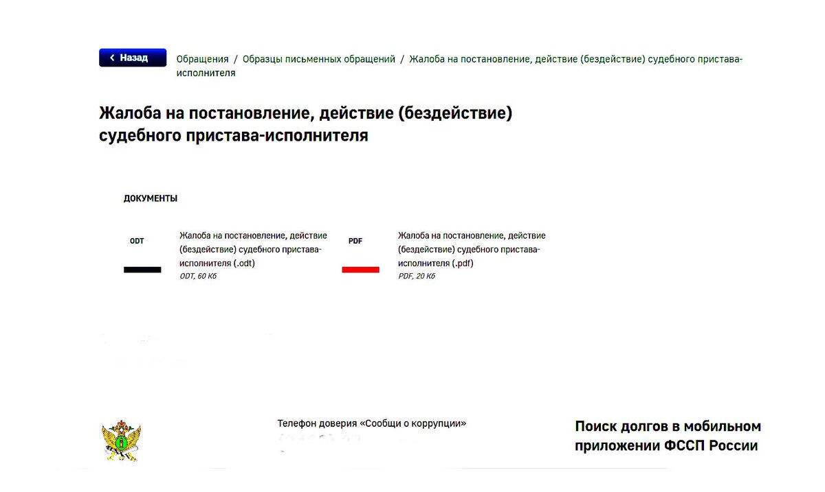 Что будет, если написать жалобу на действия судебного пристава-исполнителя,  и пугает ли его такая жалоба | Не должник | Дзен