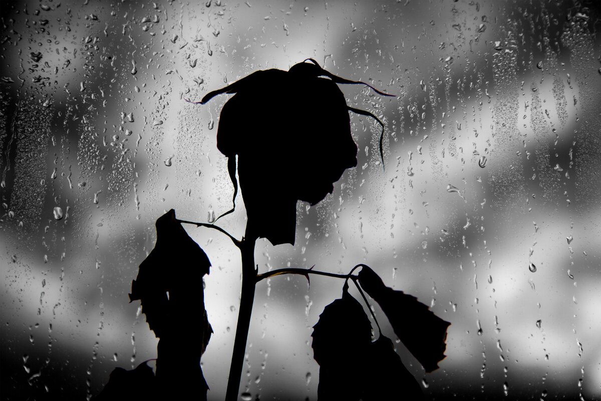 Фото из свободного доступа.