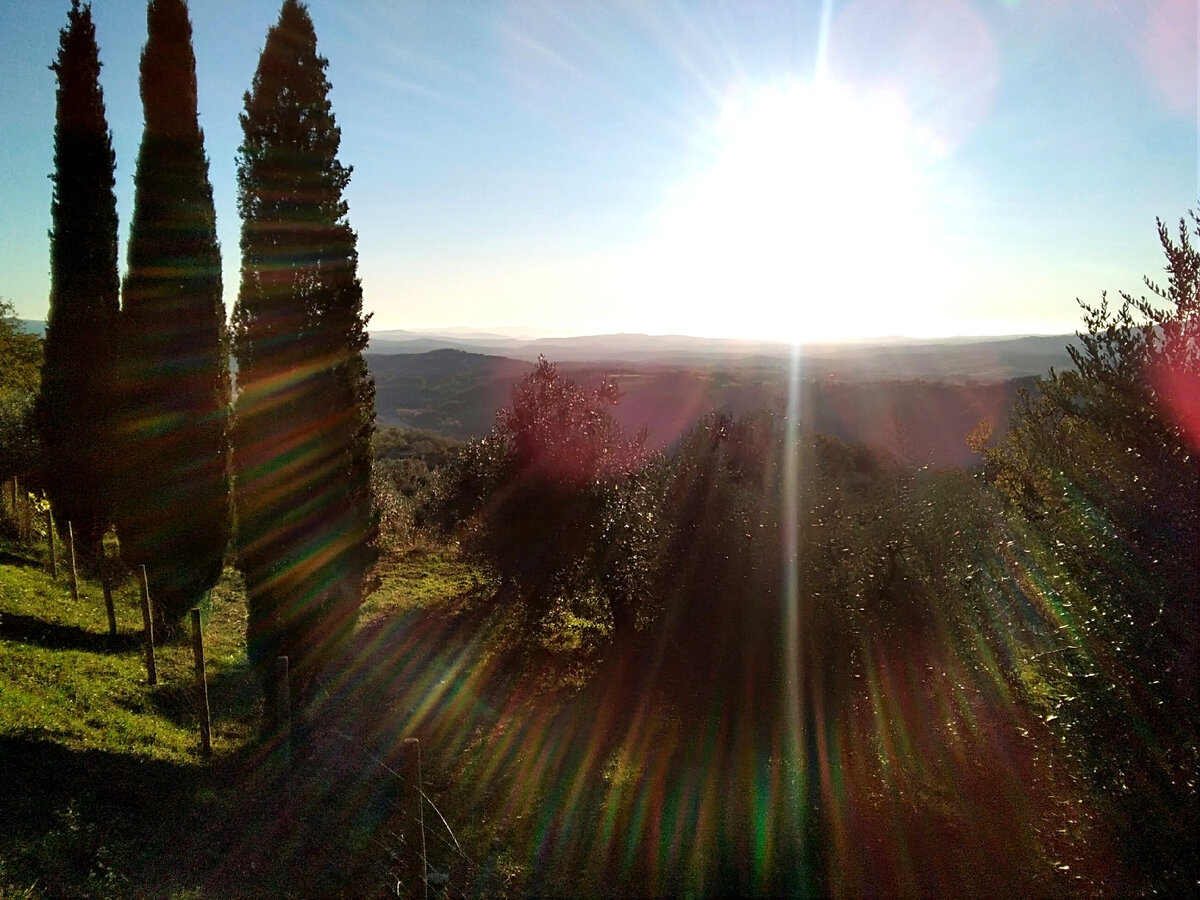 Тоскана, фото автора