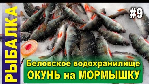 Рыбалка на беловском. Мормышка Winter Fishing in Siberia. Беловское водохранилище рыбалка. В Белово рыбалка. Рыбалка в Поморцево Беловский р-он.