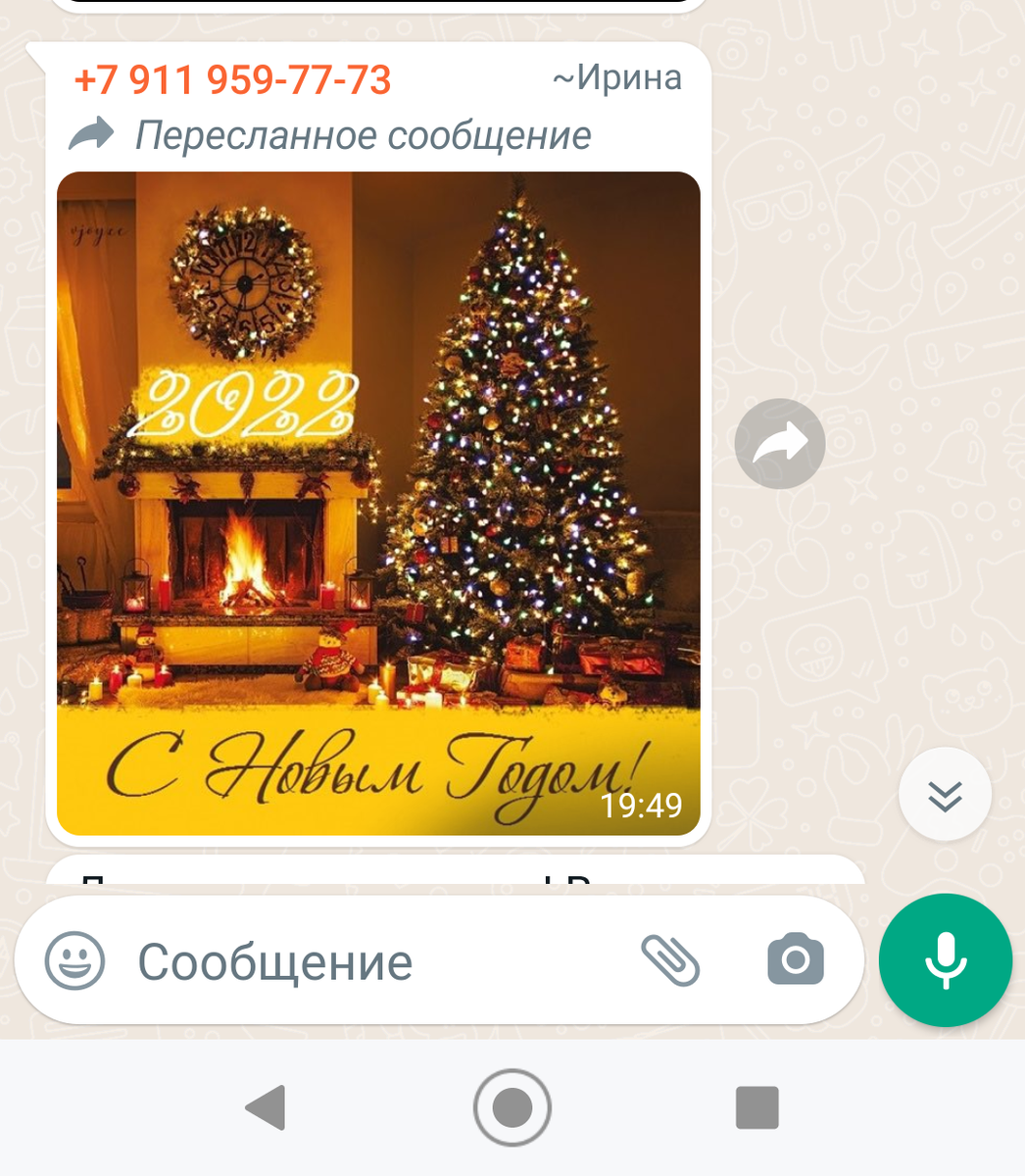 Скриншот моего ватсаппа