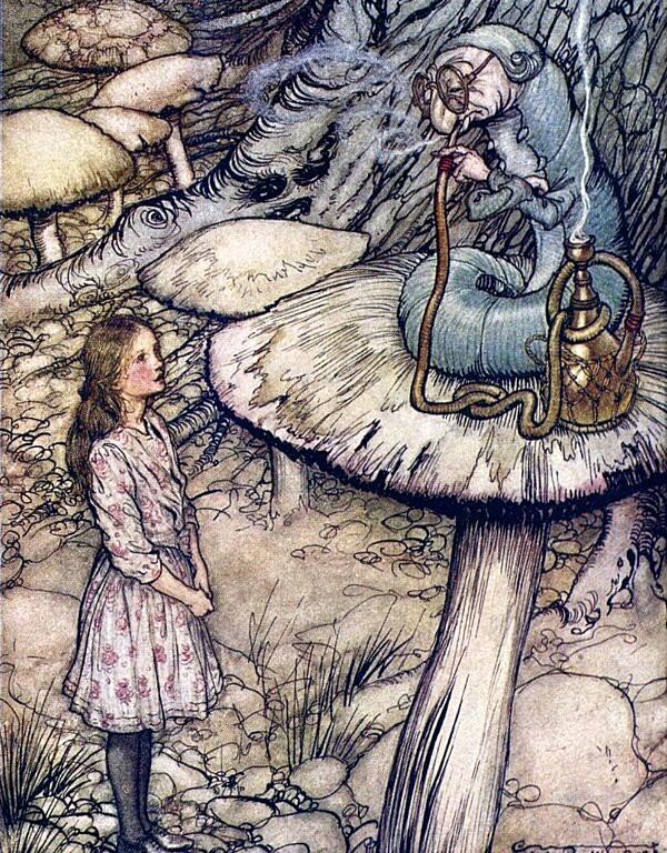 Изображение из открытых источников информации