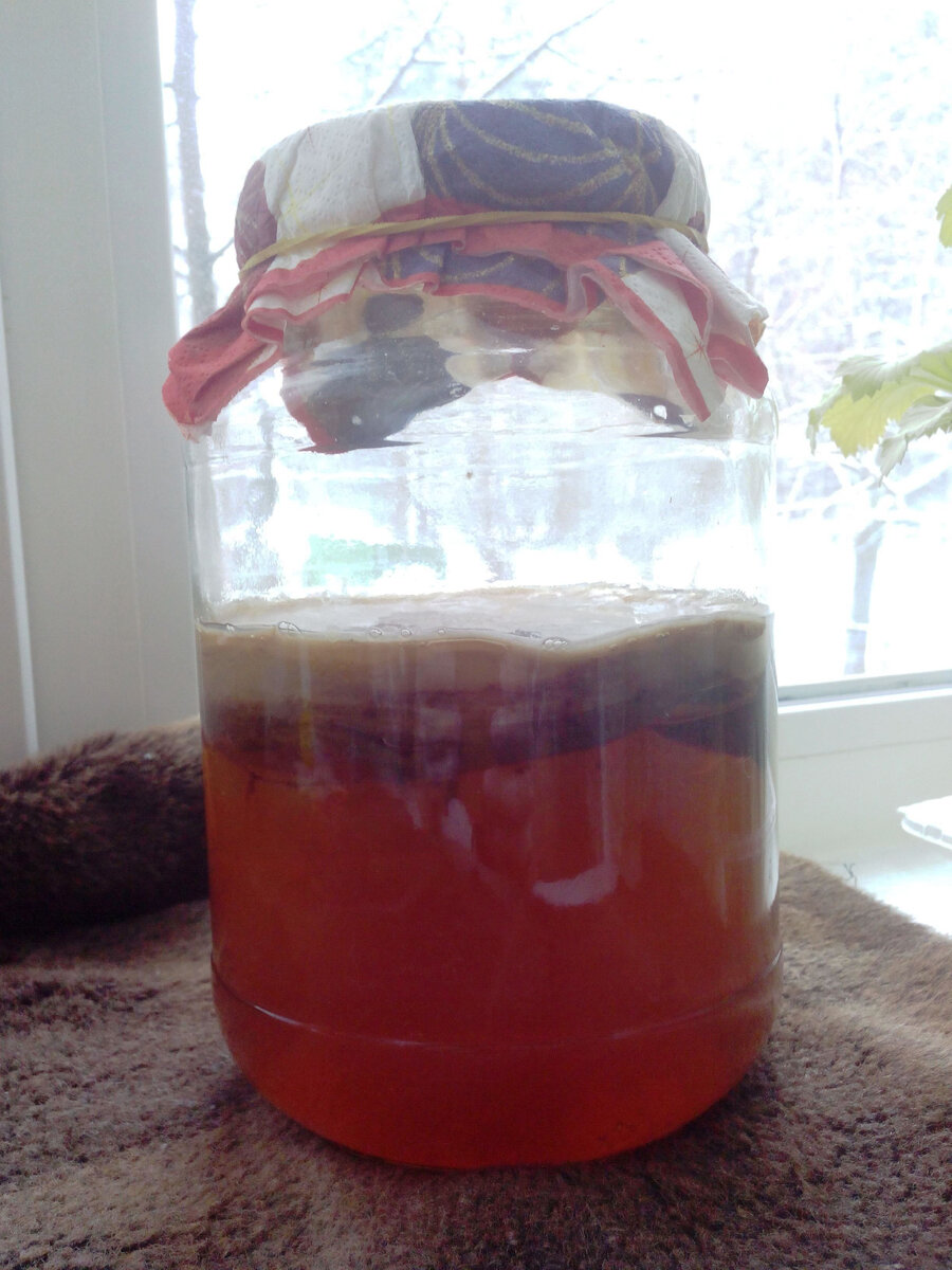 За окном - зима! Это я сфоткать банку с грибом поставила на подоконник. Здесь его держать нельзя - и холодно, и прямые солнечные лучи - он этого не любит.