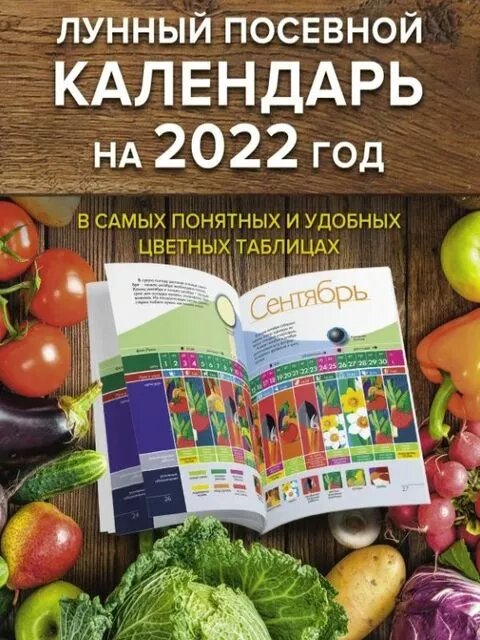 страница 4 | Фото Вышивка крестом цветов, более 65 качественных бесплатных стоковых фото