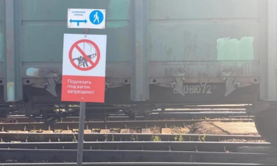 Фото: пресс-служба Восточного МСУТ СК России