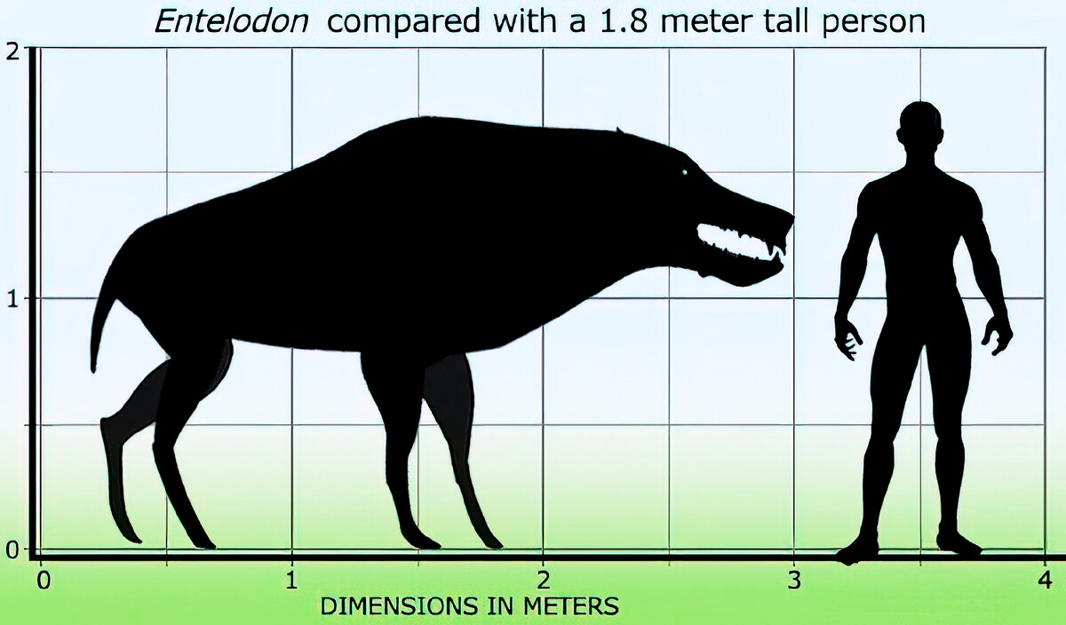 Энтелодонт адский кабан фото