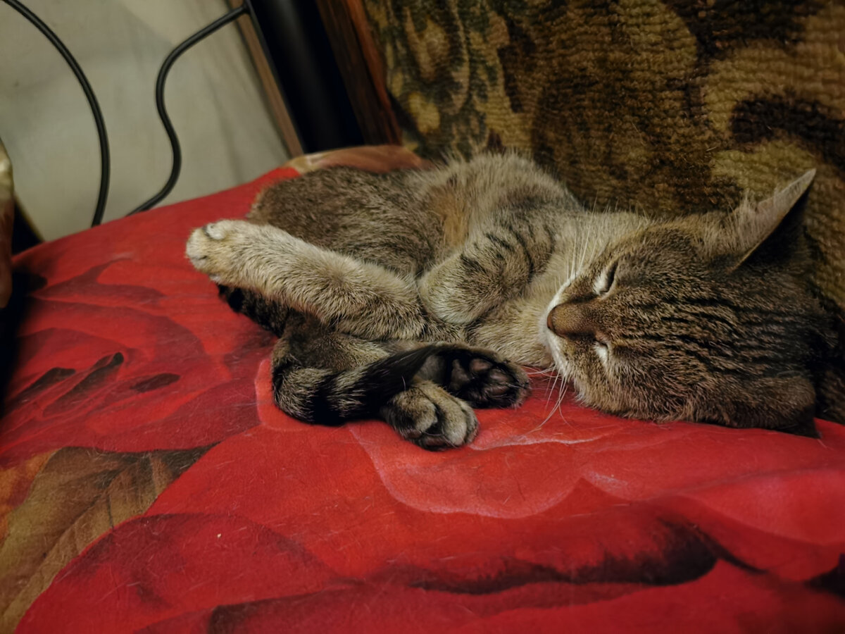 Фото из личного архива автора. 