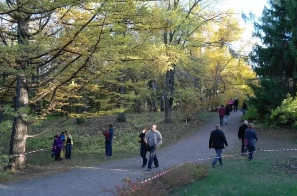     В последующие дни в Алтайском крае потеплеет Олег УКЛАДОВ