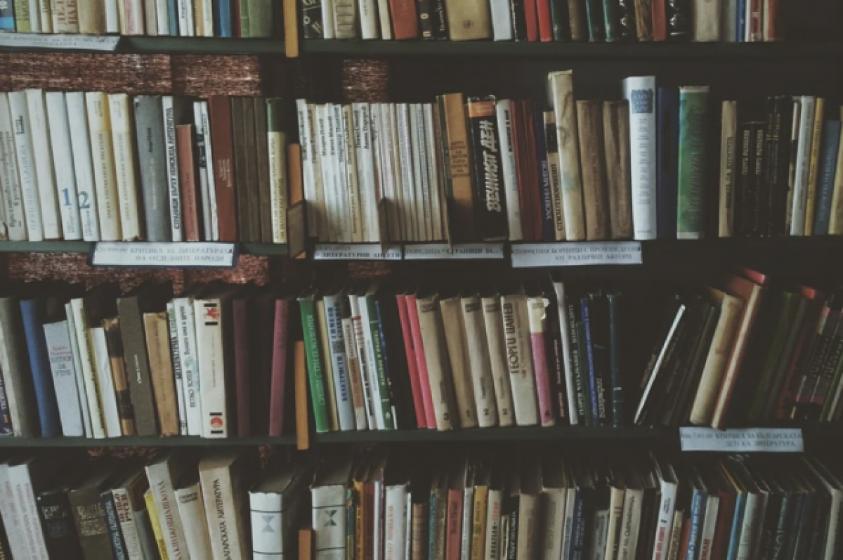    Власти Ростова помогут библиотекам Запорожья заменить нацистские книги