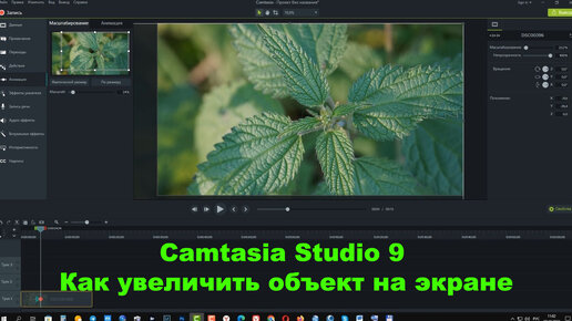 Camtasia Studio 9. Как увеличить объект на экране