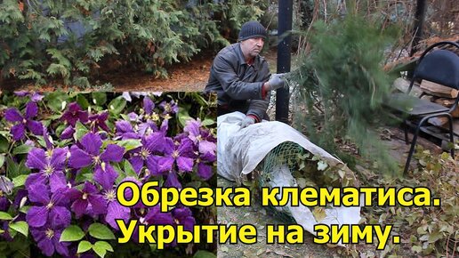 Новое на сайте: