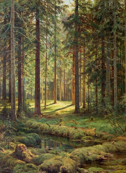 Хвойный лес на картинах Шишкина. Картины, которыми наслаждаешься | Вход ...