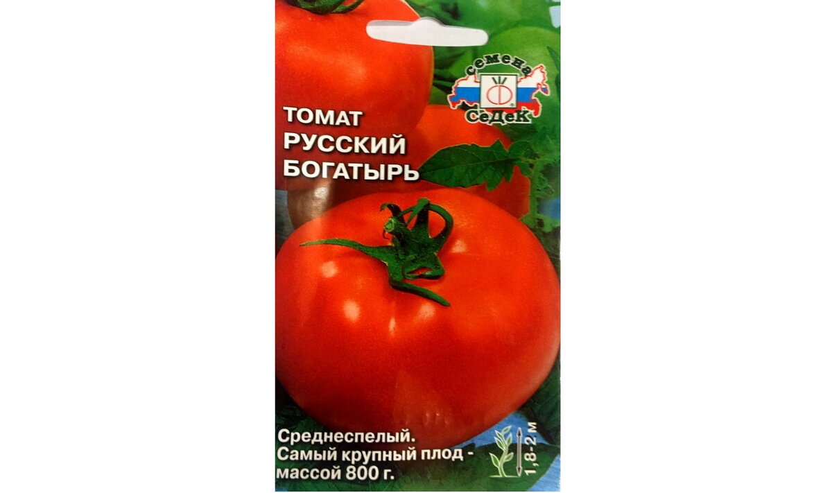 Богатырь тут просто к слову пришёлся. На суть статьи он никак не влияет.