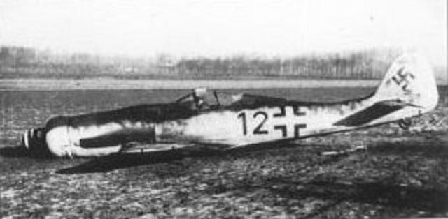 Focke-Wulf Fw 190 Würger нацистов, сбитый куропаткой. Случай вдвойне уникальный, потому что куропатки летают редко