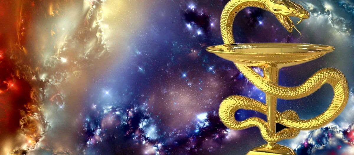 Почки - как лечить в домашних условиях?