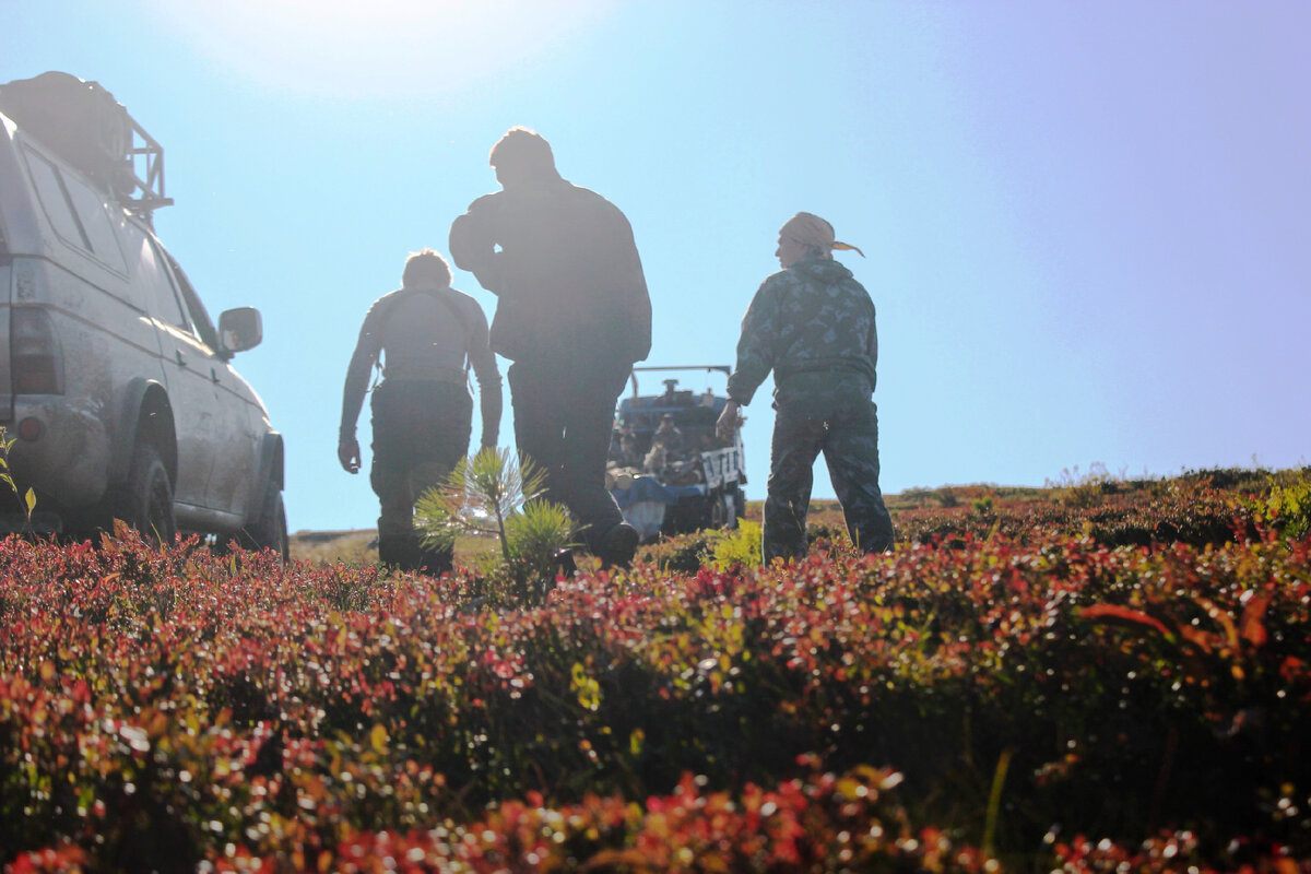 Плато Мансепаль. В горах на Севере Урала