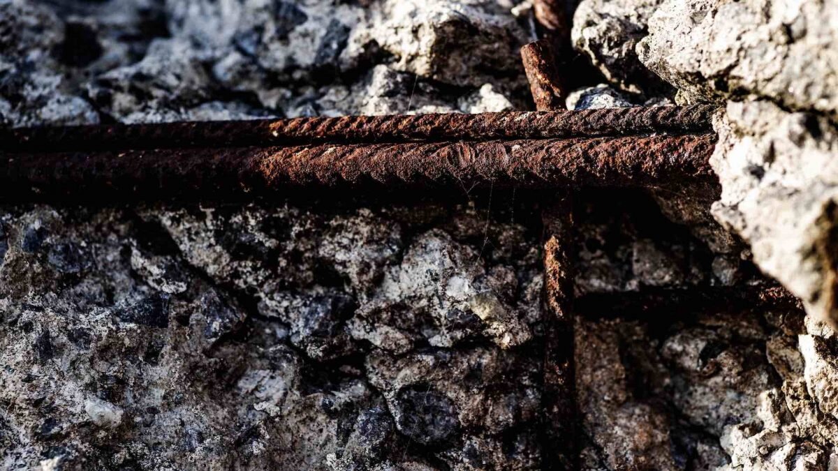    Фото: Unslash Август Макаров