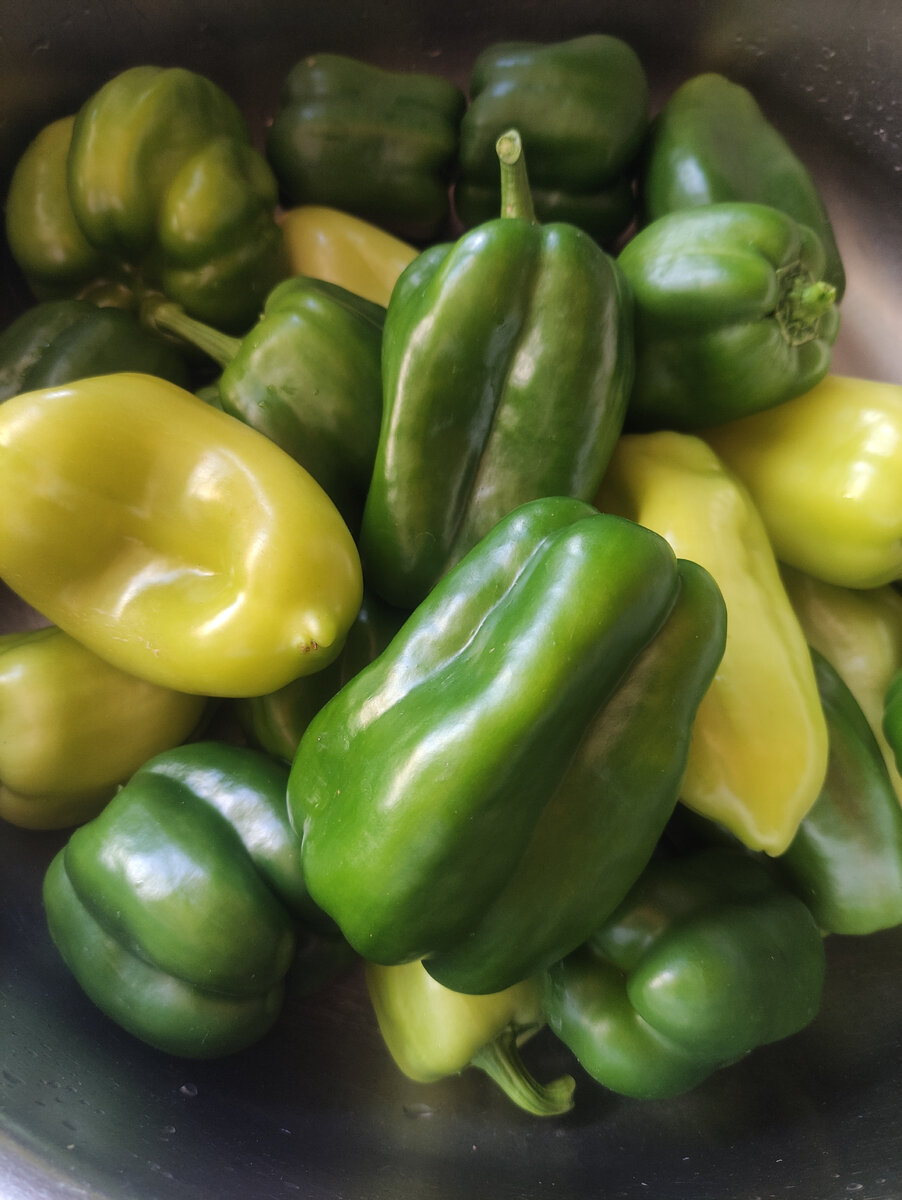 Мой перчик из теплицы. 