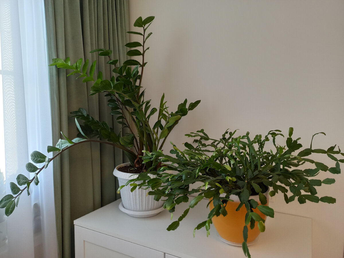 На этом месте планируется установка кофемашины, что на кухню не помещается