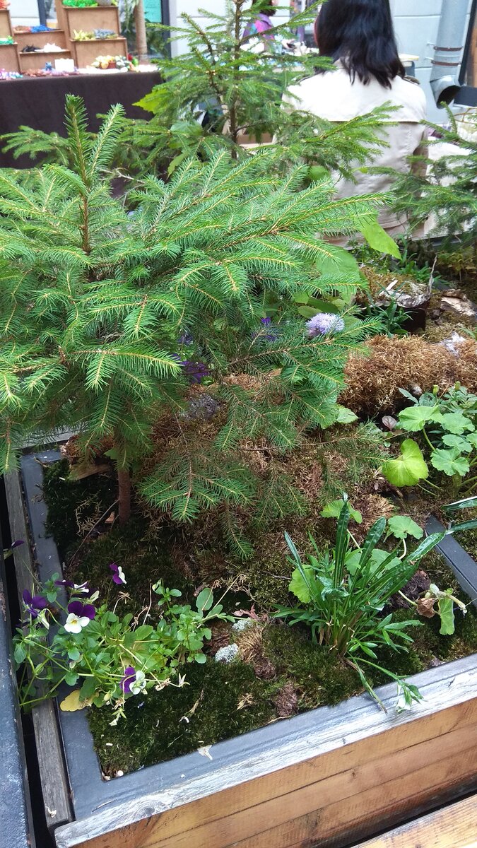 Тут ещё вон что растет ♥️